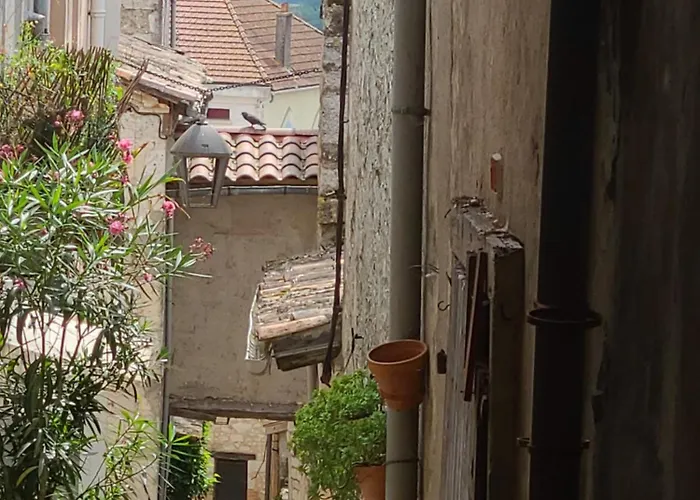 Maison De Caractere Dans Belle Bastide * Monflanquin
